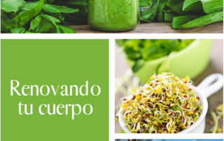 renovando tu cuerpo. Curso detox y sabores de primavera