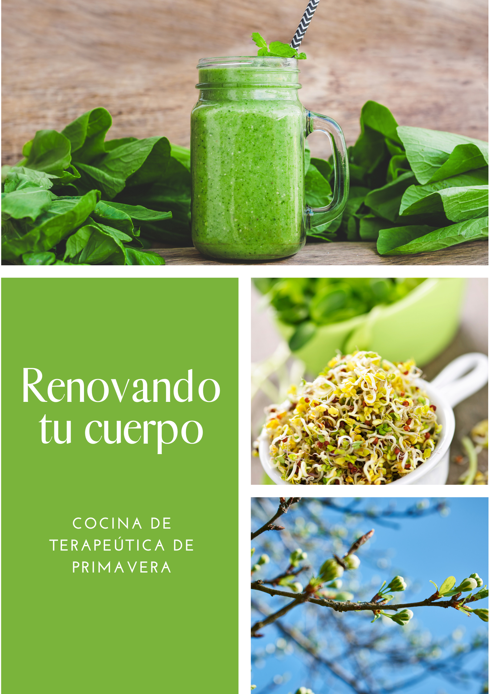 renovando tu cuerpo. Curso detox y sabores de primavera